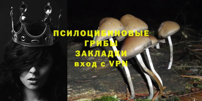 Галлюциногенные грибы MAGIC MUSHROOMS  купить наркотики цена  блэк спрут ONION  Берёзовка 